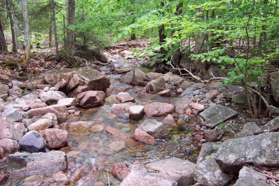 Around Eagle Lake and Cog Railway Trail
